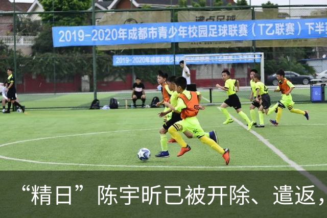 “精日”陈宇昕已被开除、遣返，军方警方团中央发声谴责
