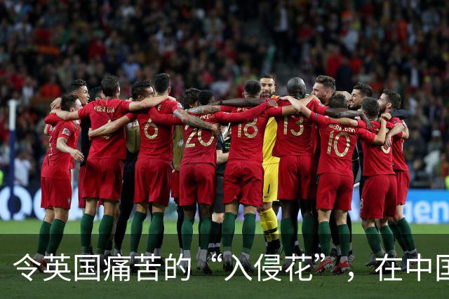 令英国痛苦的“入侵花”，在中国沦为咸菜，吃到人工种植成笑谈