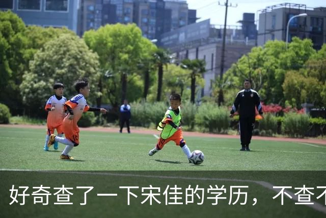 好奇查了一下宋佳的学历，不查不知道，一查惊呆了！她根本不是科班学表演出身的，而是学柳琴的，已经拿到音乐学院录取通知书才临
