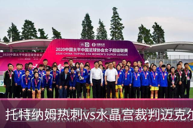 托特纳姆热刺vs水晶宫裁判迈克尔-奥利弗数据：近20场2红68黄2点