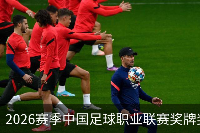 2026赛季中国足球职业联赛奖牌奖杯奖盘供应商征集-结果公告